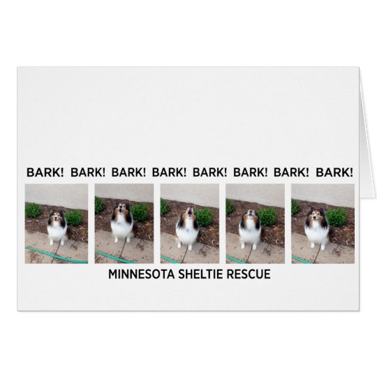 MNSR Greeting Card