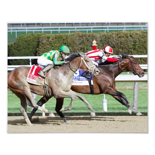 Mo Donegal Photo Print (Front)