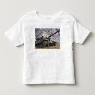 Mock aggressors from Republic of Korea 2 Toddler T-shirt