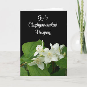 Mock Orange Sympathy Card - Welsh Greeting