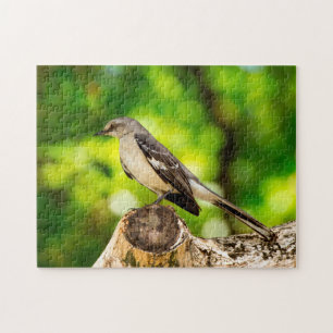 Mocking Bird Florida. Jigsaw Puzzle