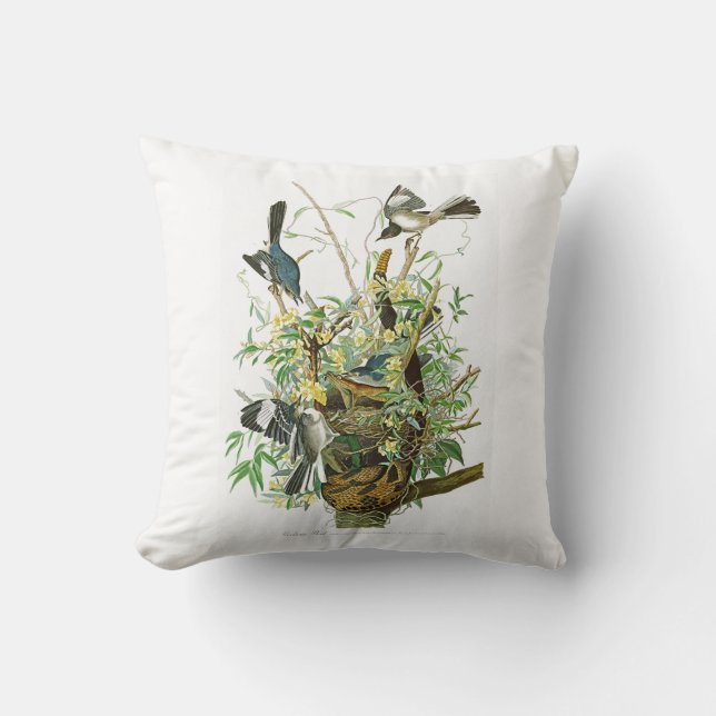 Mocking Bird John James Audubon Birds of America Throw Pillow (Front)