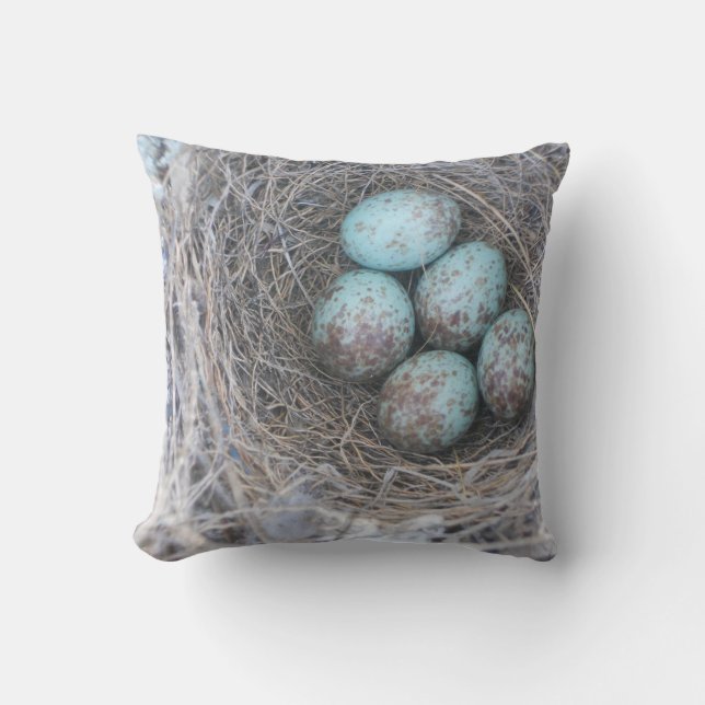 Mocking Bird Nest with Eggs Throw Pillow (Front)