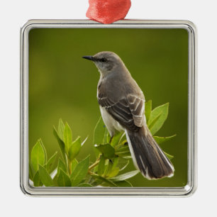 Mockingbird Bird Lovers Gifts Metal Ornament