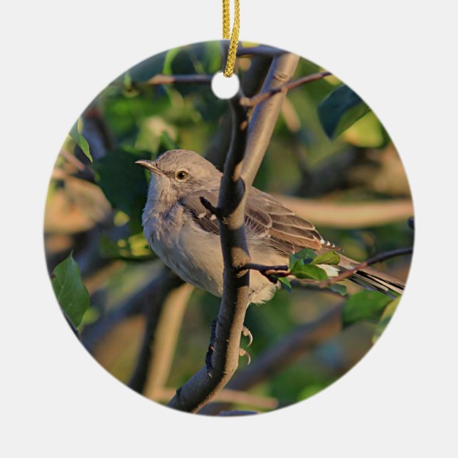 Mockingbird Ceramic Ornament (Front)