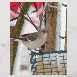 Mockingbird Letterhead