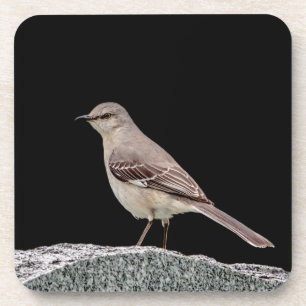 Mockingbird on a tombstone coaster