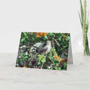Mockingbird on Lantana Card
