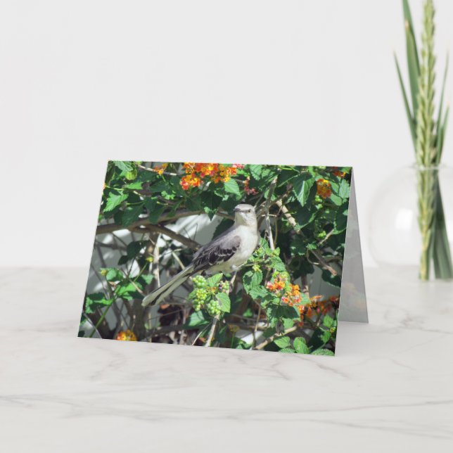 Mockingbird on Lantana Card (Front)