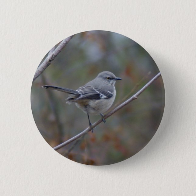 Mockingbird Ornithology 2 Inch Round Button (Front)