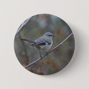 Mockingbird Ornithology 2 Inch Round Button