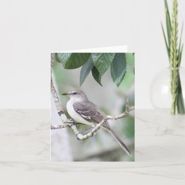 Mockingbird Photo Folded Note Card (Front)