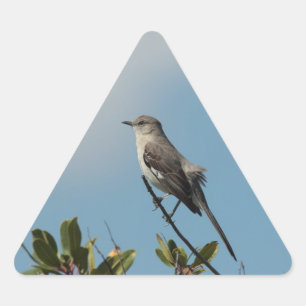 Mockingbird Sticker