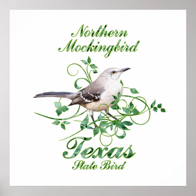 Mockingbird Texas State Bird Poster (Front)