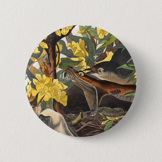 Mockingbirds, John James Audubon 2 Inch Round Button (Front)