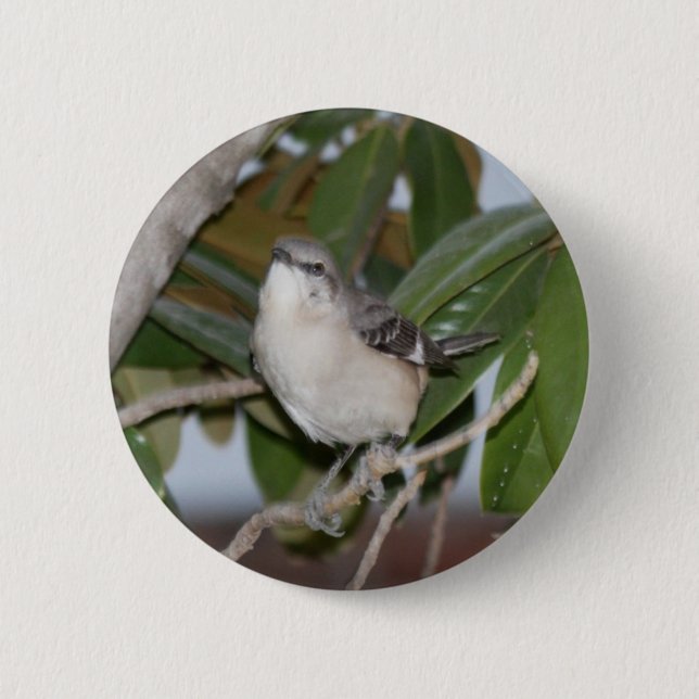 Mockingbutton - Northern Mockingbird on Magnolia 2 Inch Round Button (Front)