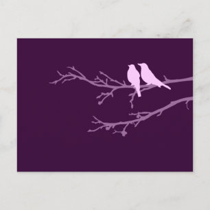 mod birds postcard