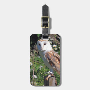 Mod Chic Classy Destiny Owl Luggage Tag