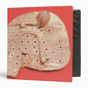 Model of a sheep's liver binder