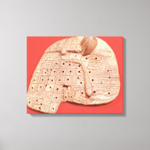 Model of a sheep's liver canvas print