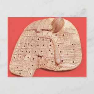 Model of a sheep's liver postcard