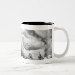 Model of tyrannosaurus rex B&W Two-Tone Coffee Mug