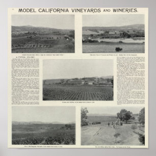 Model Vineyards, California Poster