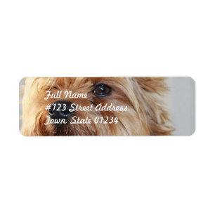 Modèle 2 d'étiquette postale - customisé