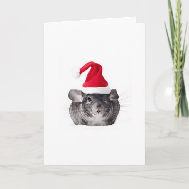 Modèle adorable de Père Noël de chinchilla (Devant)