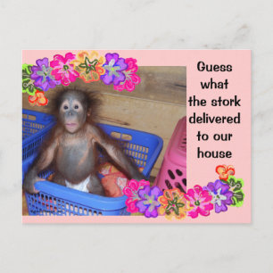 Modèle d'annonce de naissance