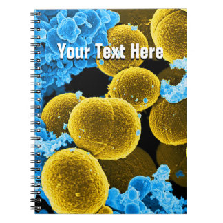 Modèle de carnet d'abrégé sur microbiologie de