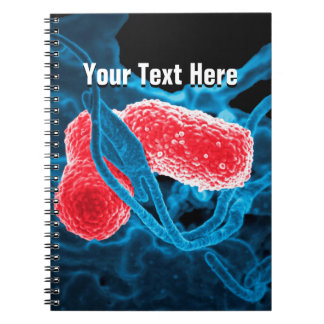 modèle de carnet d'abrégé sur microbiologie de