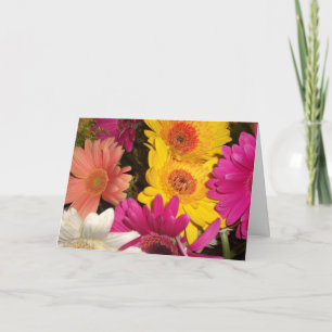 Modèle de carte de Gerbera Daisies