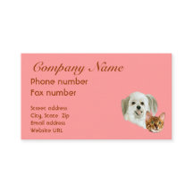 Modèle de carte de visite