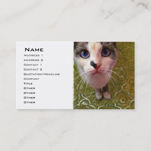 Modèle de carte de visite Blue Eyed Cat (Devant)