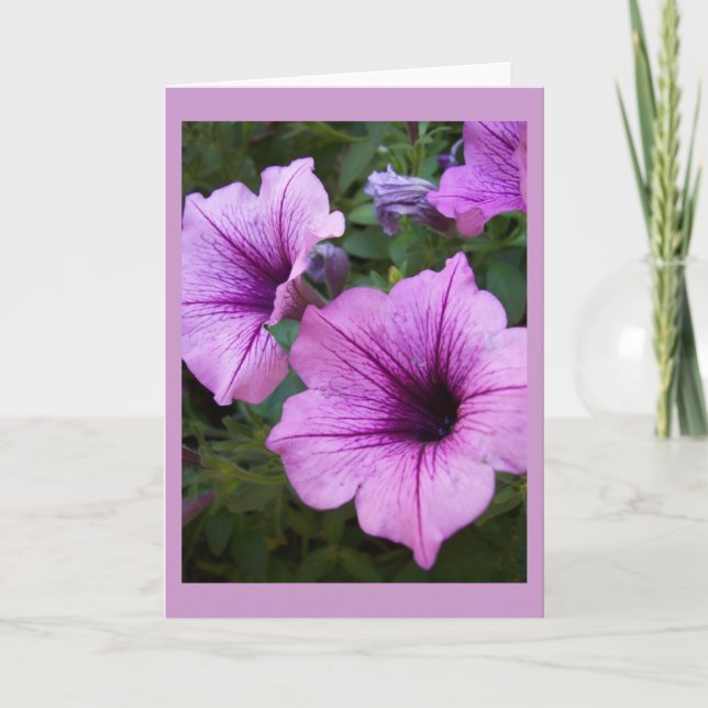 Modèle de carte Petunia (Devant)