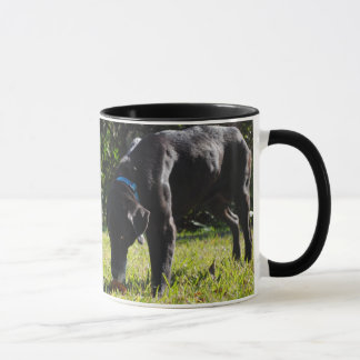 Modèle de Deux-Image de tasse