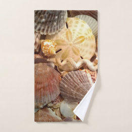 Modèle de dollar de sable de coquillage