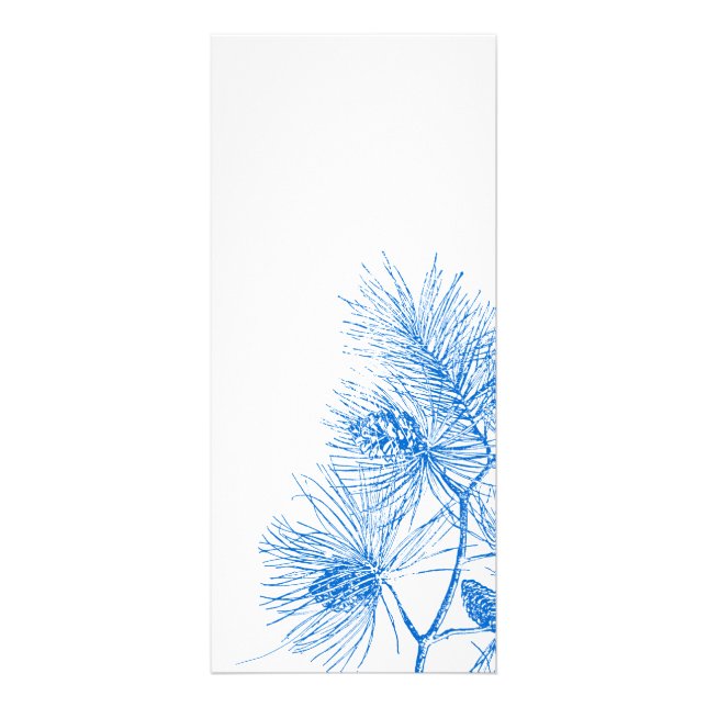Modèle de la carte en rack de pin d'hiver bleu et  (Devant)