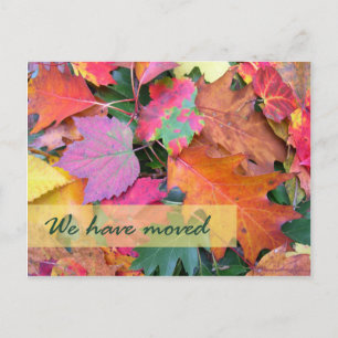 Modèle de nouvelle adresse de sol forestier