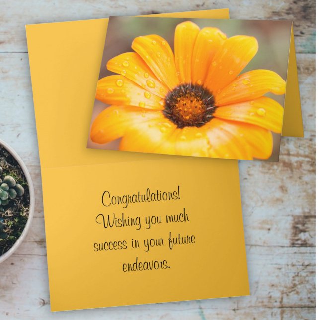 Modèle de photo en gros plan de Marguerite africai (cover and inside template text greeting card)