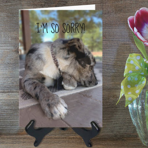 Modèle de photo personnalisée de chien brindle pou