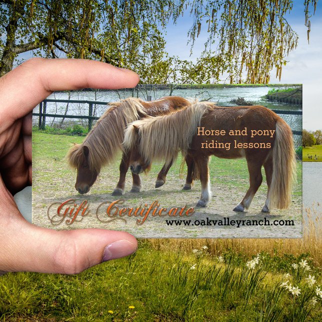 Modèle du certificat cadeau pour l'équitation (Gift certificate template for horse or pony riding lessons - equestrian - equine)