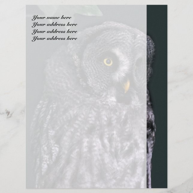 Modèle en-tête de lettre Great Grey Owl (Devant)