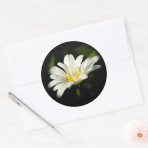 Modèle Sticker rond