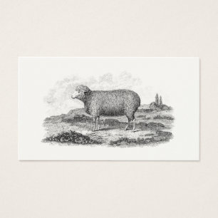 Modèle vintage d'agneau de brebis de moutons de