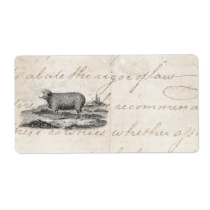 Modèle vintage d'agneau de brebis de moutons de