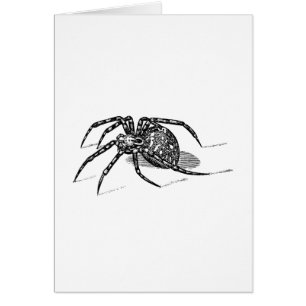 Modèle vintage d'araignées d'illustration