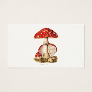 Modèle vintage de champignons de rouge de