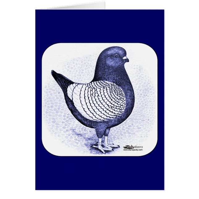 Modena Argent Pigeon (Front)